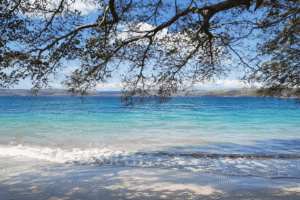 Playa Langosta