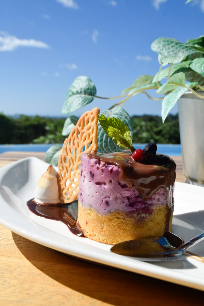 Berry dessert served by the infinity pool at Pacific Kalokairi boutique hotel in Tamarindo, Costa Rica